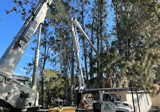 AHRPTWn5BdyrM6uUkKS0scKS1oRpwij I26r4wb3KfdZeM V VhYIOZCB9hI5CcgpuwnVxBLCJhW9hQCrl MAflIytk5H8 Ue5yeie8enTlYMwHsKkWoZ7h JL52Wv3DCTWZaPQCttgoEw.jpg