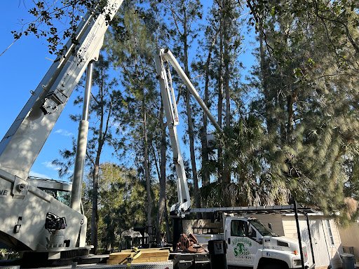 Affordable Tree Service